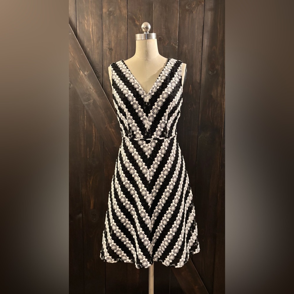 Adrianna Papell Black and White A-Line Embroidered Dress